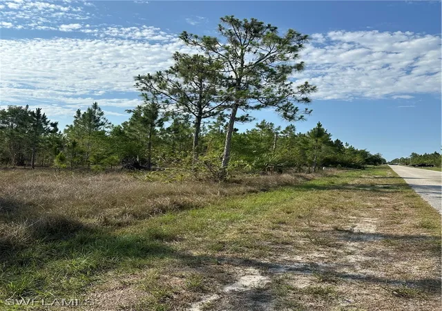 Photo 1 of Land for sale at 1014 Jackson Ave, Lehigh Acres, FL 33972 | MLS# 225045495 | Listing updated on 2026-08-04