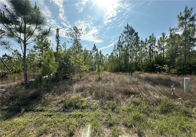 Photo 1 of Land for sale at 1014 Jackson Ave, Lehigh Acres, FL 33972 | MLS# 225045495 | Listing updated on 2026-08-04