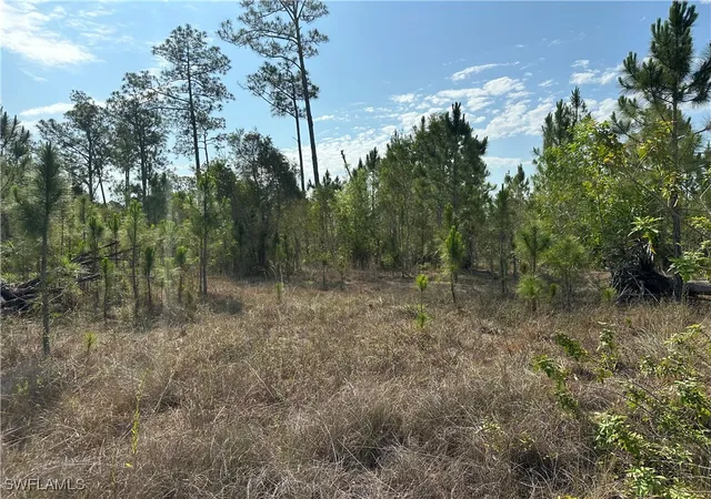 Photo 2 of Land for sale at 1014 Jackson Ave, Lehigh Acres, FL 33972 | MLS# 225045495 | Listing updated on 2026-08-04