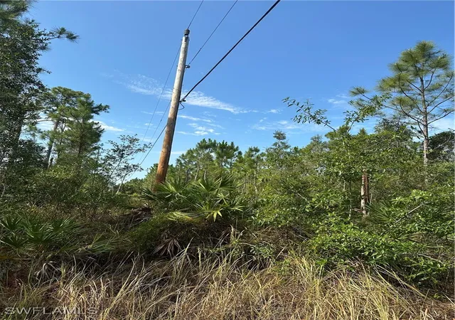 Photo 3 of Land for sale at 1014 Jackson Ave, Lehigh Acres, FL 33972 | MLS# 225045495 | Listing updated on 2026-08-04