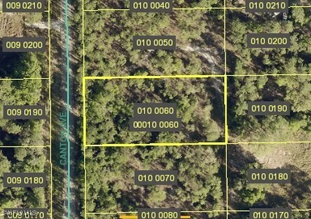 Photo 1 of Land for sale at 12 Canton Ave, Lehigh Acres, FL 33936 | MLS# 224068874 | Listing updated on 2026-07-30