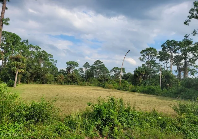 Photo 2 of Land for sale at 702 James Ave, Lehigh Acres, FL 33936 | MLS# 224060330 | Listing updated on 2026-08-03