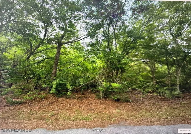 Photo 1 of Land for sale at 23423 Buckner Ave, Punta Gorda, FL 33980 | MLS# 225004540 | Listing updated on 2025-12-10