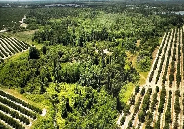 4th image of 275 S Bear Pointe Dr, Lake Placid, FL 33852 | MLS# 224012691