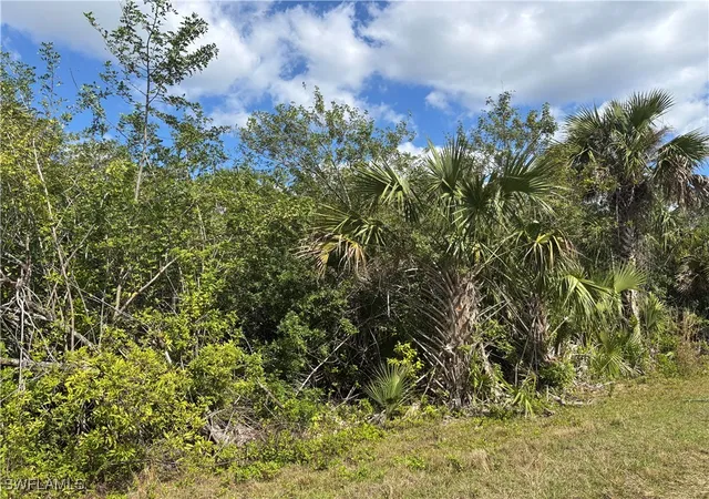 Photo 3 of Land for sale at 41617360008 36th Ave Se, Naples, FL 34117 | MLS# 223062195 | Listing updated on 2026-07-20
