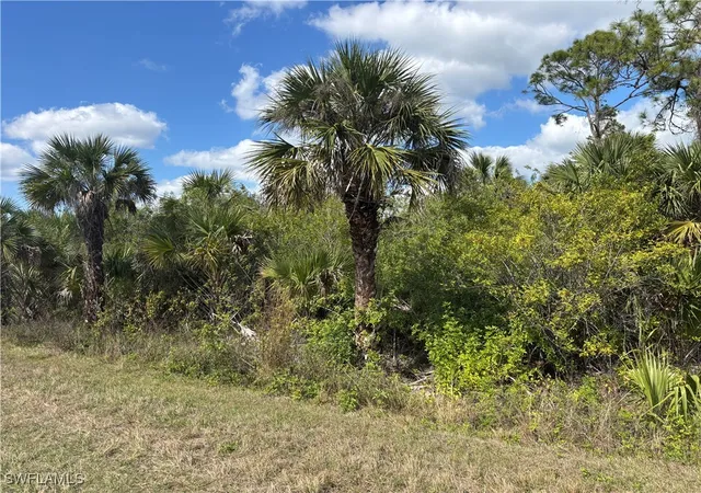 Photo 3 of Land for sale at 41617360008 36Th Ave Se, Naples, FL 34117 | MLS# 223062195 | Listing updated on 2026-07-20