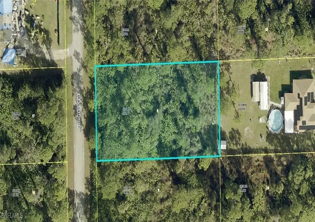 1st image of 2008 Columbus Ave, Alva, FL 33920 | MLS# 225032441