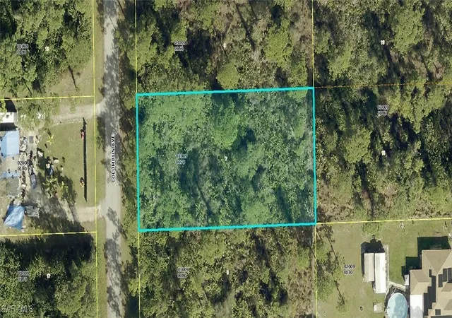 1st image of 2010 Columbus Ave, Alva, FL 33920 | MLS# 225032442