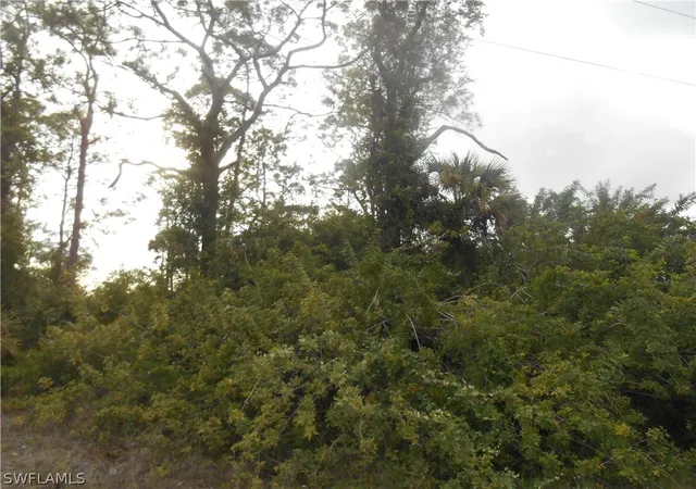 Photo 1 of Land for sale at 1515 Palmetto Ave, Lehigh Acres, FL 33972 | MLS# 222028819 | Listing updated on 2026-06-04