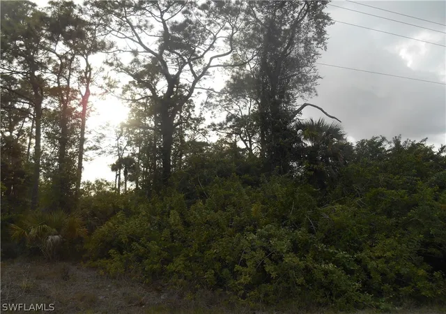 Photo 1 of Land for sale at 1515 Palmetto Ave, Lehigh Acres, FL 33972 | MLS# 222028819 | Listing updated on 2026-06-04