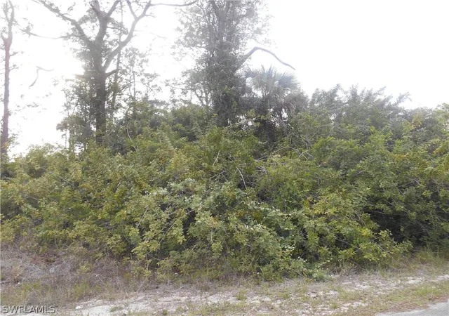 Photo 2 of Land for sale at 1515 Palmetto Ave, Lehigh Acres, FL 33972 | MLS# 222028819 | Listing updated on 2026-06-04