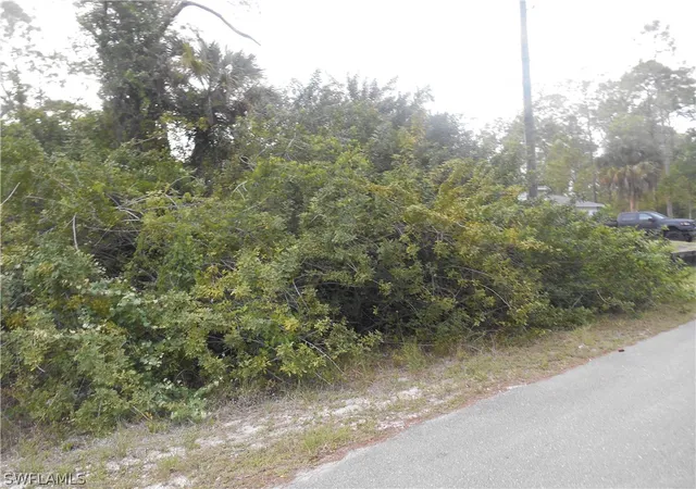 Photo 4 of Land for sale at 1515 Palmetto Ave, Lehigh Acres, FL 33972 | MLS# 222028819 | Listing updated on 2026-06-04