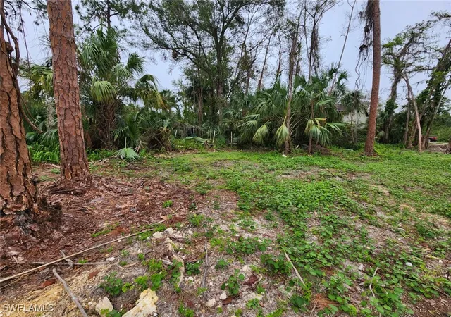 Photo 3 of Land for sale at 2004 Canton Ave, Alva, FL 33920 | MLS# 224088350 | Listing updated on 2026-06-01