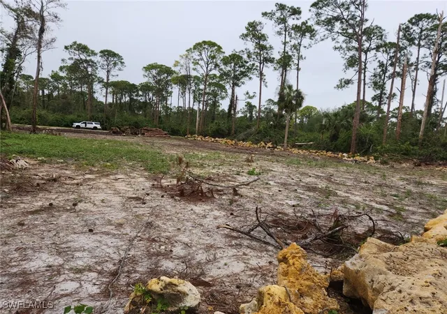 Photo 4 of Land for sale at 2004 Canton Ave, Alva, FL 33920 | MLS# 224088350 | Listing updated on 2026-06-01