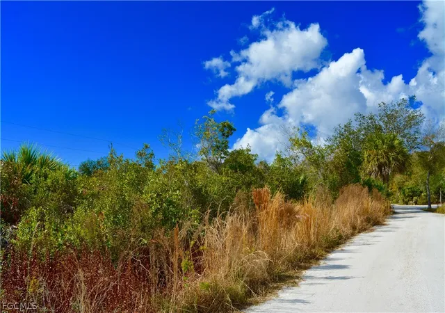 Photo 3 of Land for sale at 27195 Lowry Ave, Punta Gorda, FL 33983 | MLS# 225036361 | Listing updated on 2026-02-13