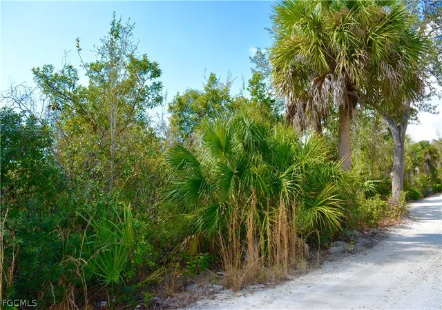 Photo 4 of Land for sale at 27195 Lowry Ave, Punta Gorda, FL 33983 | MLS# 225036361 | Listing updated on 2026-02-13