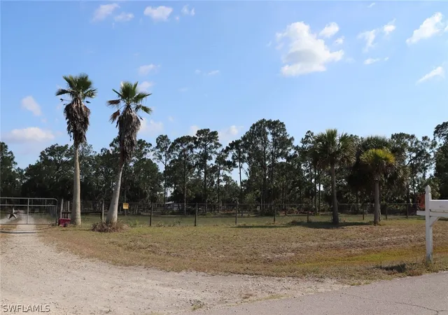 Homes for sale in Alva, FL | 4244 E 24th St, Alva, FL 33920 | MLS# 221040222