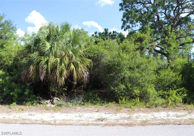 Homes for sale in Alva, FL | 4244 E 24th St, Alva, FL 33920 | MLS# 221040222