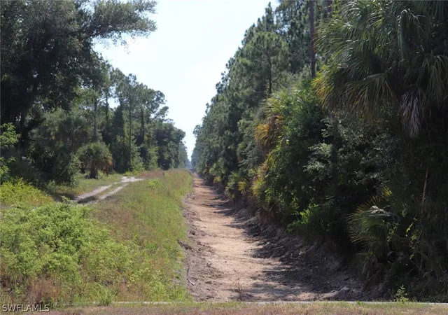 Homes for sale in Alva, FL | 4244 E 24th St, Alva, FL 33920 | MLS# 221040222
