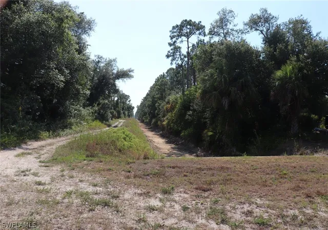 Homes for sale in Alva, FL | 4244 E 24Th St, Alva, FL 33920 | MLS# 221040222