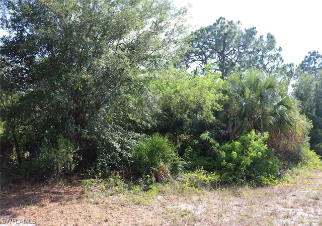 Homes for sale in Alva, FL | 4244 E 24Th St, Alva, FL 33920 | MLS# 221040222