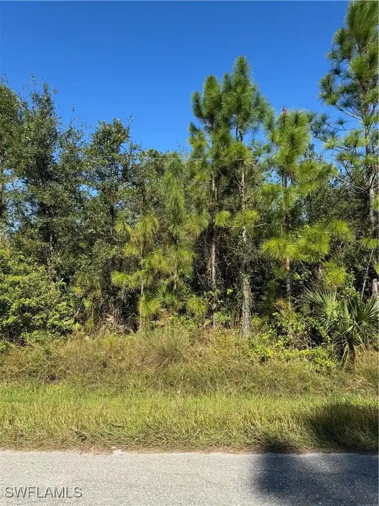 Land for sale at 2501 E 9Th St, Lehigh Acres, FL 33936 | MLS# 224096031