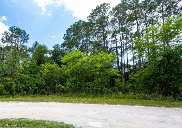 Photo 1 of Land for sale at 34160 Haas Dr, Webster, FL 33597 | MLS# 223041877 | Listing updated on 2026-04-30