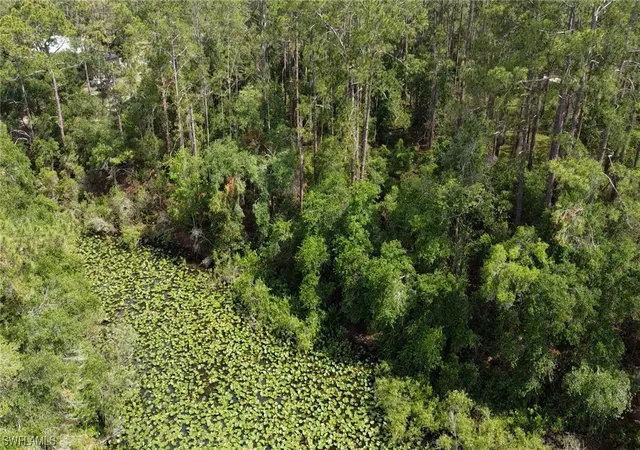 Photo 3 of Land for sale at 34160 Haas Dr, Webster, FL 33597 | MLS# 223041877 | Listing updated on 2026-04-30