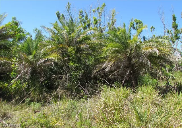 4th image of Samadani Ln, Bokeelia, FL 33922 | MLS# 223022463