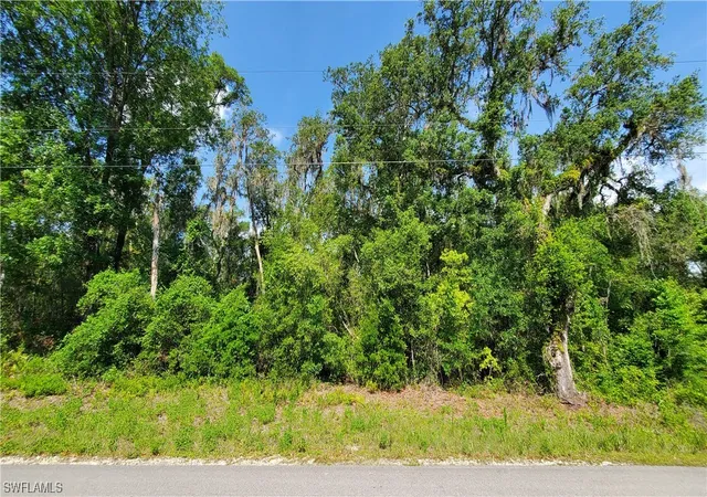 Photo 1 of Land for sale at 7491 Shasta St, Webster, FL 33597 | MLS# 223041838 | Listing updated on 2026-04-30