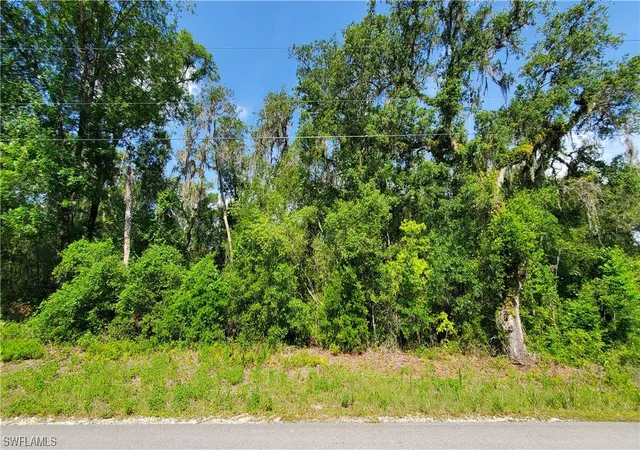Photo 1 of Land for sale at 8001 Shasta St, Webster, FL 33597 | MLS# 223041802 | Listing updated on 2026-04-30