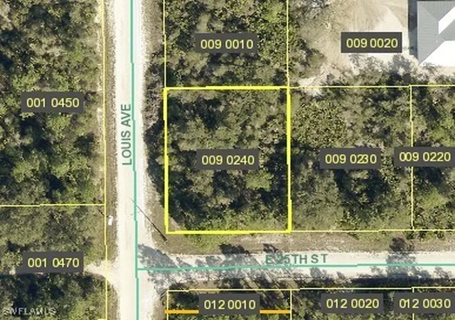 Homes for sale in Alva, FL | 4183 E 25th St, Alva, FL 33920 | MLS# 225018414