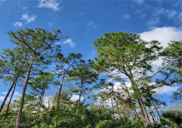 Photo 2 of Land for sale at 3011 2nd Street Ne, Naples, FL 34120 | MLS# 225045013 | Listing updated on 2026-07-22