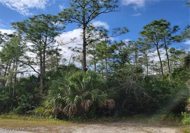 Photo 3 of Land for sale at 3011 2nd Street Ne, Naples, FL 34120 | MLS# 225045013 | Listing updated on 2026-07-22