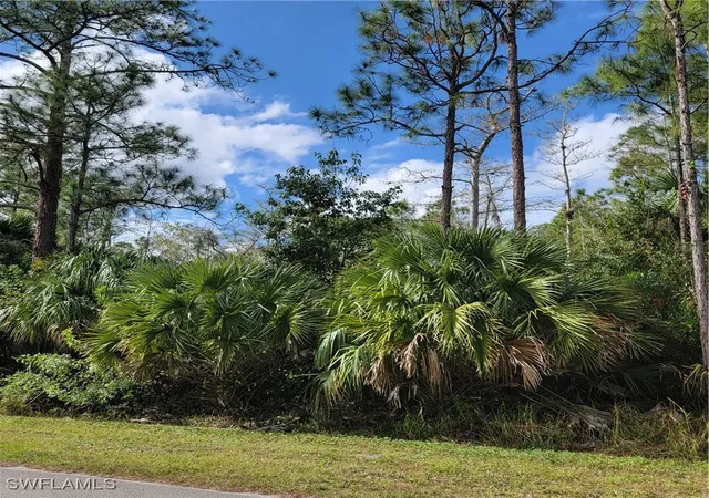 Photo 3 of Land for sale at 3011 2nd Street NE, Naples, FL 34120 | MLS# 225045013 | Listing updated on 2026-07-22