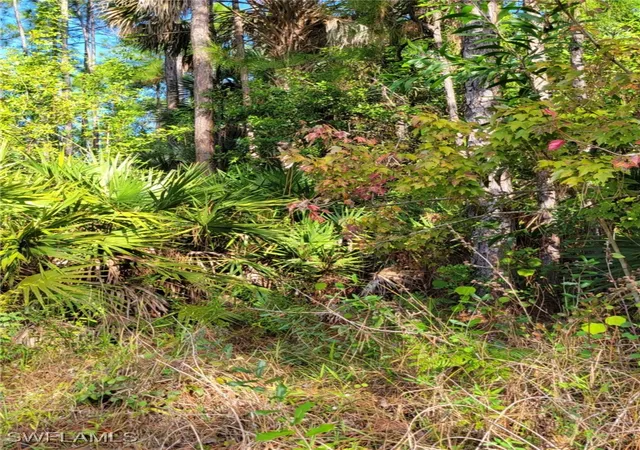 Photo 1 of Land for sale at 3415 41st Avenue Ne, Naples, FL 34120 | MLS# 225007209 | Listing updated on 2026-03-29