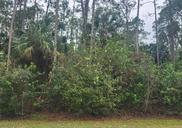 Photo 2 of Land for sale at 3415 41st Avenue Ne, Naples, FL 34120 | MLS# 225007209 | Listing updated on 2026-03-29