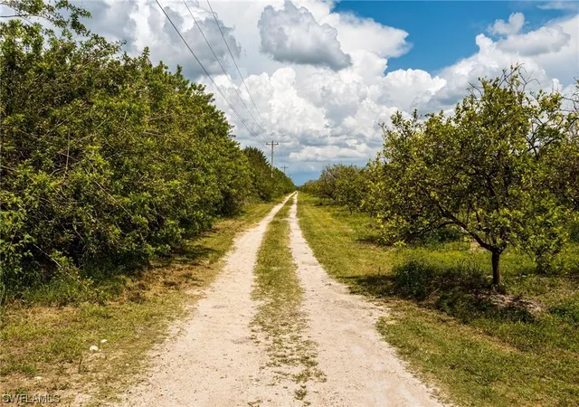 15th image of 21979 Carter Rd, Estero, FL 33928 | MLS# 224020883