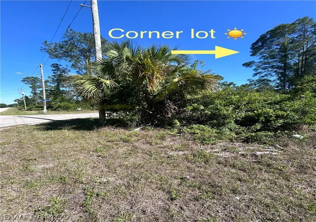 Homes for sale in Alva, FL | 3706 E 21st St, Alva, FL 33920 | MLS# 224035312