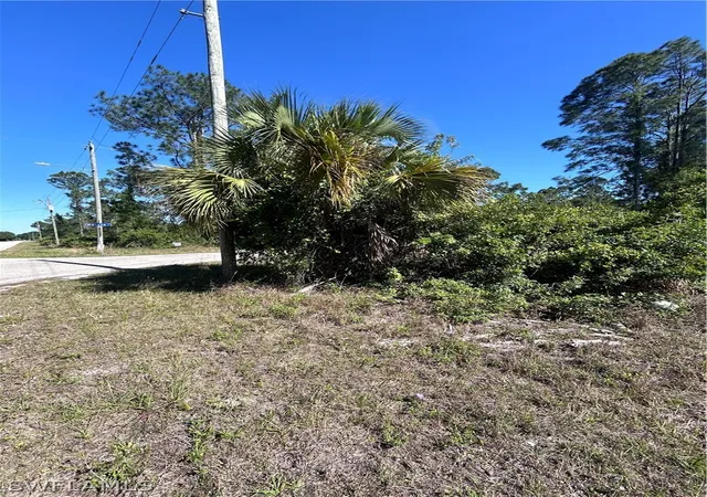 Homes for sale in Alva, FL | 3706 E 21st St, Alva, FL 33920 | MLS# 224035312