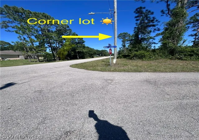 Homes for sale in Alva, FL | 3800 E 21st St, Alva, FL 33920 | MLS# 224035303