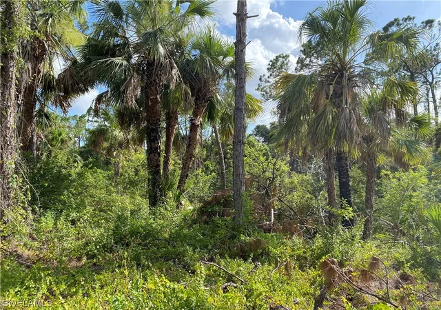 Photo 2 of Land for sale at 2063 Fernwood St, Port Charlotte, FL 33948 | MLS# 223044422 | Listing updated on 2026-05-22