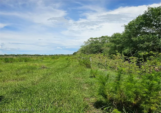 Photo 3 of Land for sale at Kirby Thompson Rd, Labelle, FL 33935 | MLS# 225057562 | Listing updated on 2026-07-29