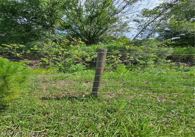 Photo 4 of Land for sale at Kirby Thompson Rd, Labelle, FL 33935 | MLS# 225057562 | Listing updated on 2026-07-29