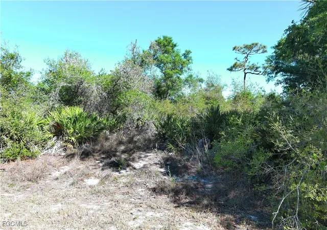 Photo 2 of Land for sale at 29242 Defiance Ave, Punta Gorda, FL 33982 | MLS# 2025003487 | Listing updated on 2026-08-31