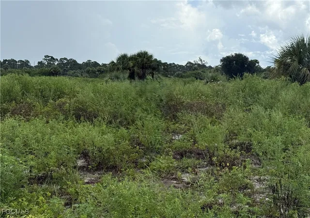 4th image of 124 Ardmore Cir, La Belle, FL 33935 | MLS# 2025003956