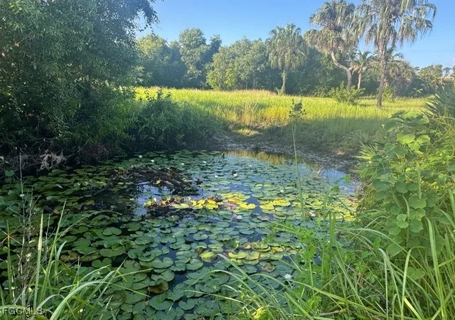 Photo 4 of Land for sale at Is Ridge Rd, Bokeelia, FL 33922 | MLS# 2025006419 | Listing updated on 2026-07-31