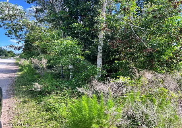 Photo 3 of Land for sale at 8746 Nome Ct, St James City, FL 33956 | MLS# 2025006947 | Listing updated on 2026-09-23
