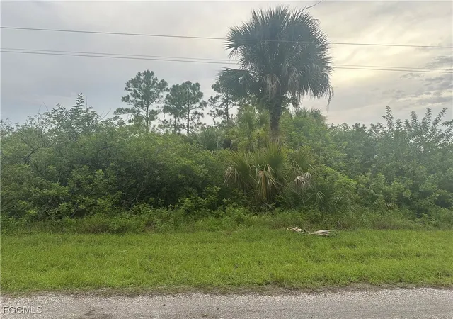 5th image of 850 Haskell St E, Lehigh Acres, FL 33974 | MLS# 2025013636