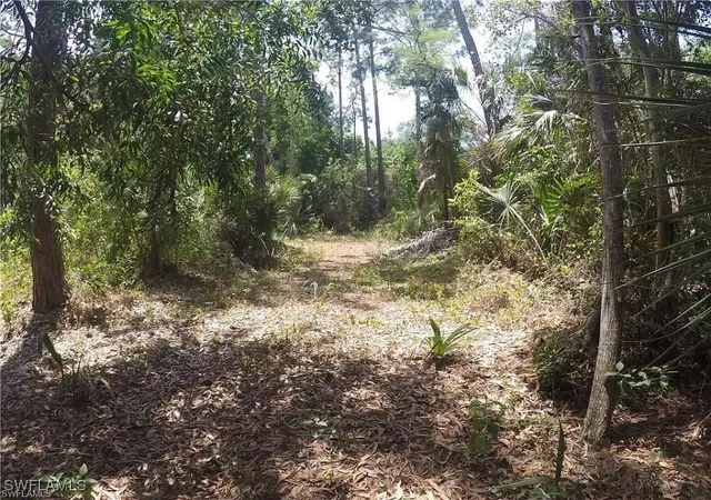 Photo 4 of Land for sale at 5700 Cedar Tree Ln, Naples, FL 34116 | MLS# 225074554 | Listing updated on 2025-10-10